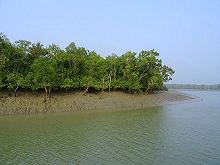 Sunderban Tour from Kolkata